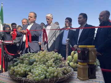فیلم| سیزدهمین جشنواره انگور هزاوه شهرستان اراک