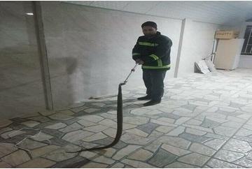زنده‌گیری ۲۹۴ حلقه مار در کاشان