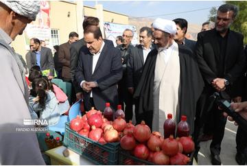 جشن شکرگزاری برداشت برنج و انار در سیروان برگزار شد