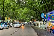 In photos: Gisum Forest, northern Iran