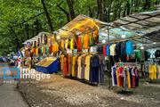 In photos: Gisum Forest, northern Iran