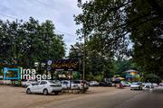 In photos: Gisum Forest, northern Iran