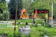 In photos: Gisum Forest, northern Iran