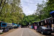 In photos: Gisum Forest, northern Iran