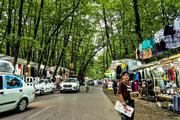In photos: Gisum Forest, northern Iran