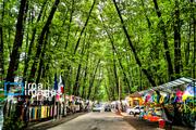 In photos: Gisum Forest, northern Iran