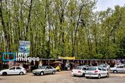 In photos: Gisum Forest, northern Iran