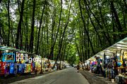 In photos: Gisum Forest, northern Iran