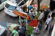 بهار؛نخستین مهمانپذیر رشت